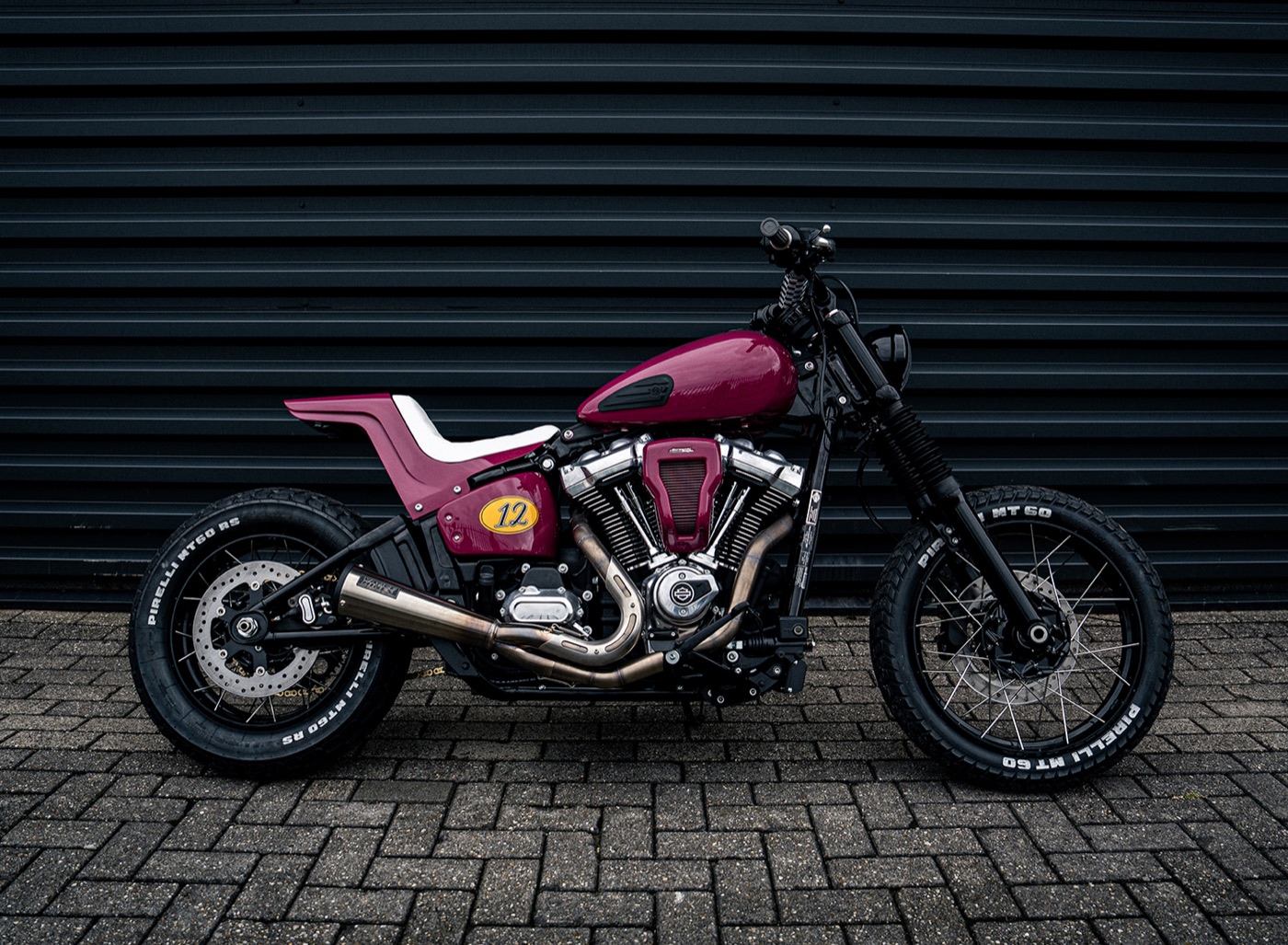 Zayqen Shadow Street Bob