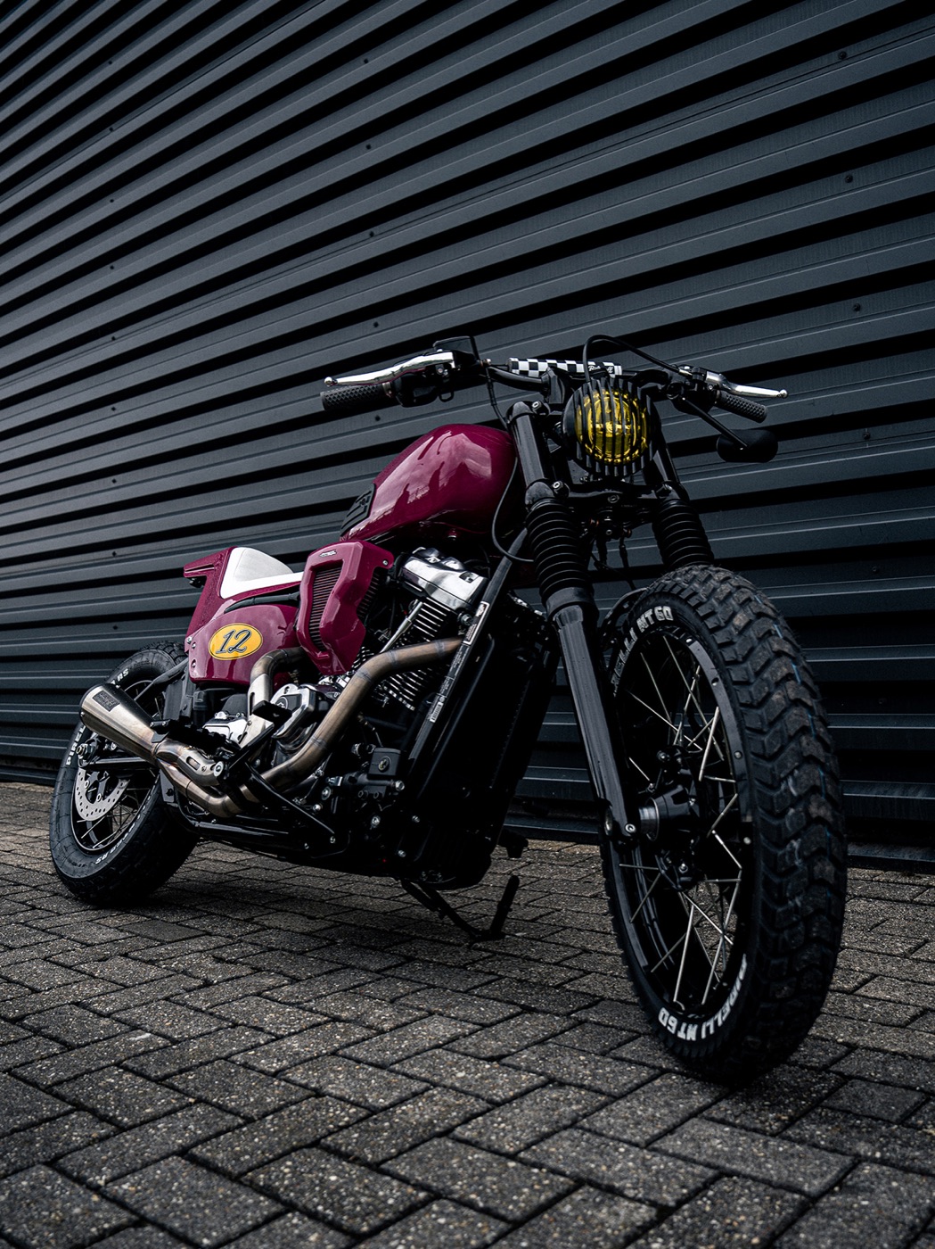 Zayqen Shadow Street Bob